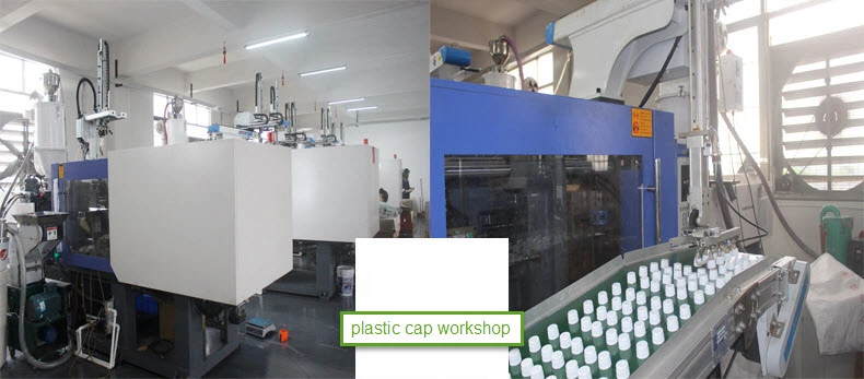 Cosmetic Bottle Cap Mould